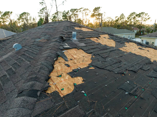 Best Emergency Roof Repair Services  in Glendale, MS
